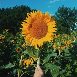 Meet your Posher, Grace